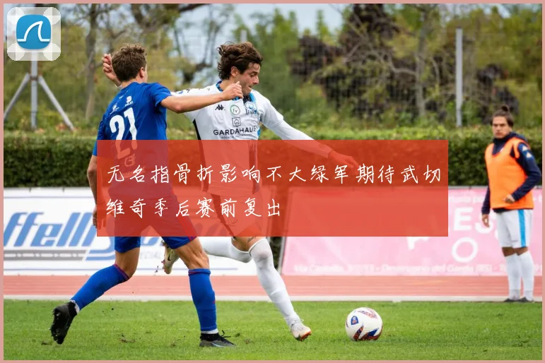 无名指骨折影响不大绿军期待武切维奇季后赛前复出