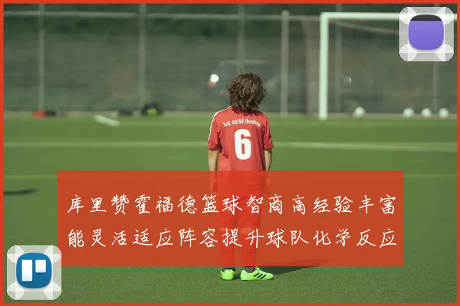 库里赞霍福德篮球智商高经验丰富能灵活适应阵容提升球队化学反应