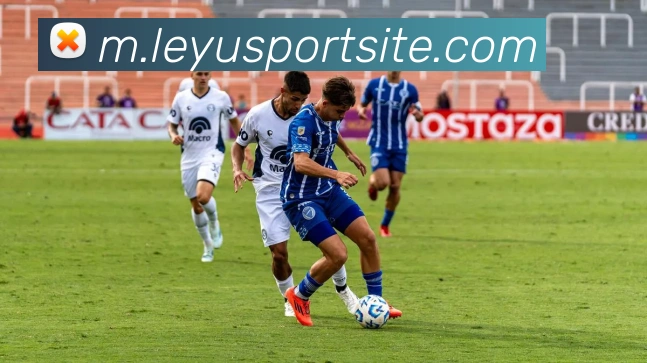 乐鱼体育服务体系